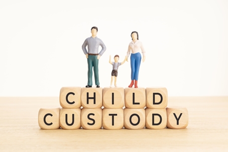 Child Custody Blocks