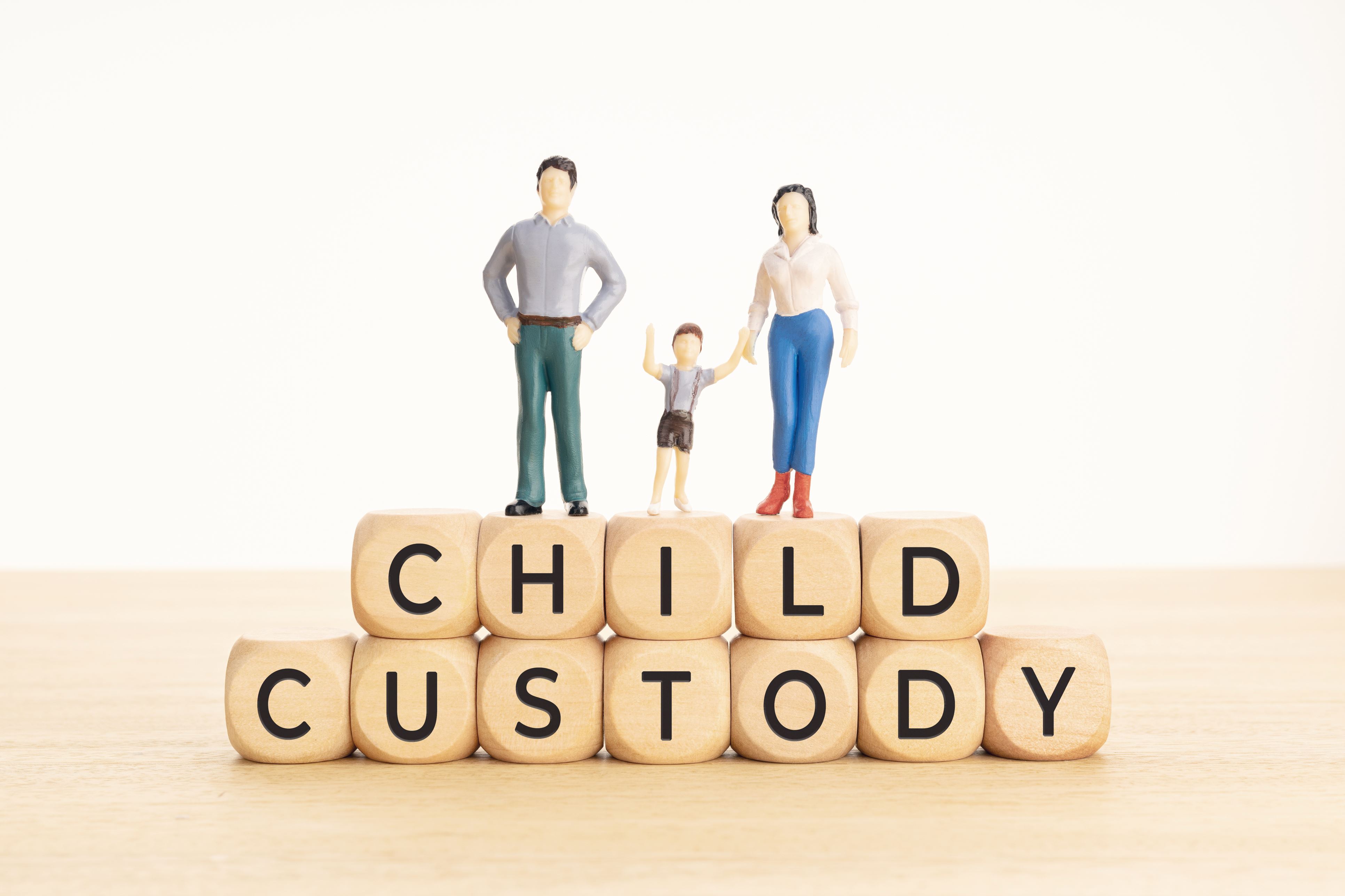 Child Custody Blocks